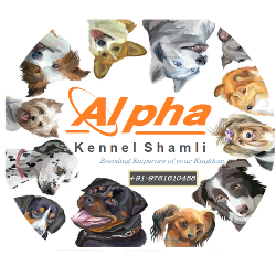 Alpha Kennel Shamli logo