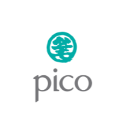 Pico Global Services Limited logo