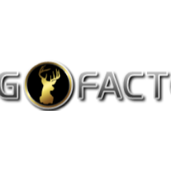 Stagfactory logo