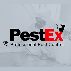 PestEx Professional Pest Control logo