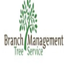 AZ Tree Doctor logo