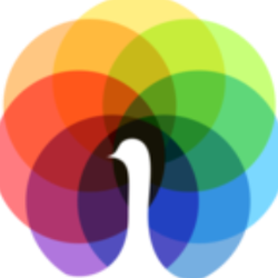 Peafowl IT Solution logo